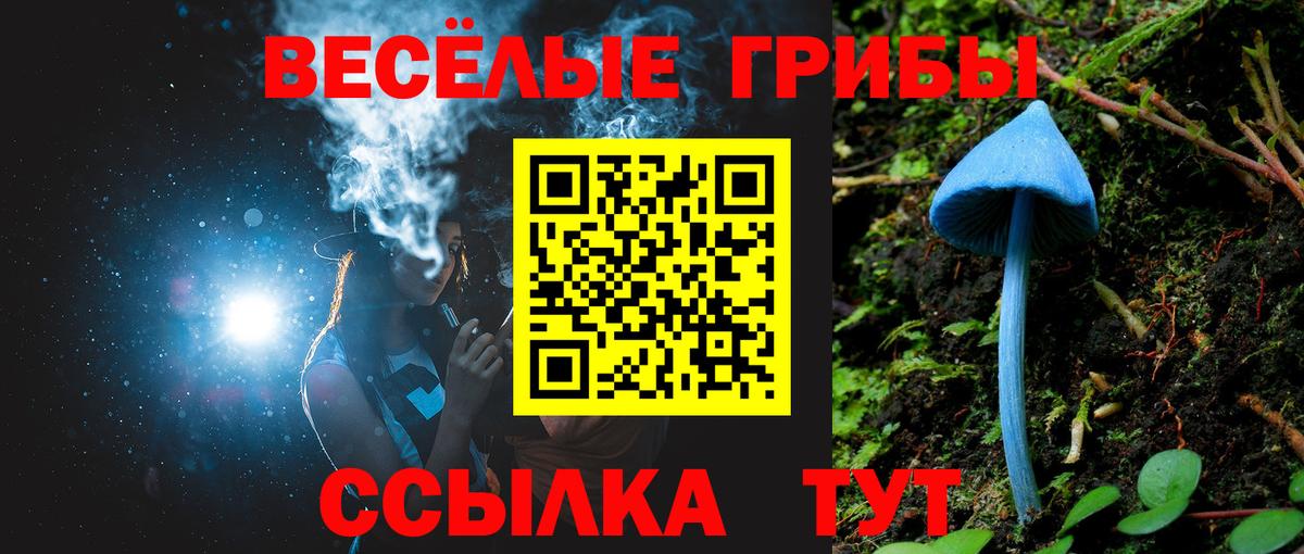 Галлюциногенные грибы MAGIC MUSHROOMS  Вход с VPN  Энгельс 